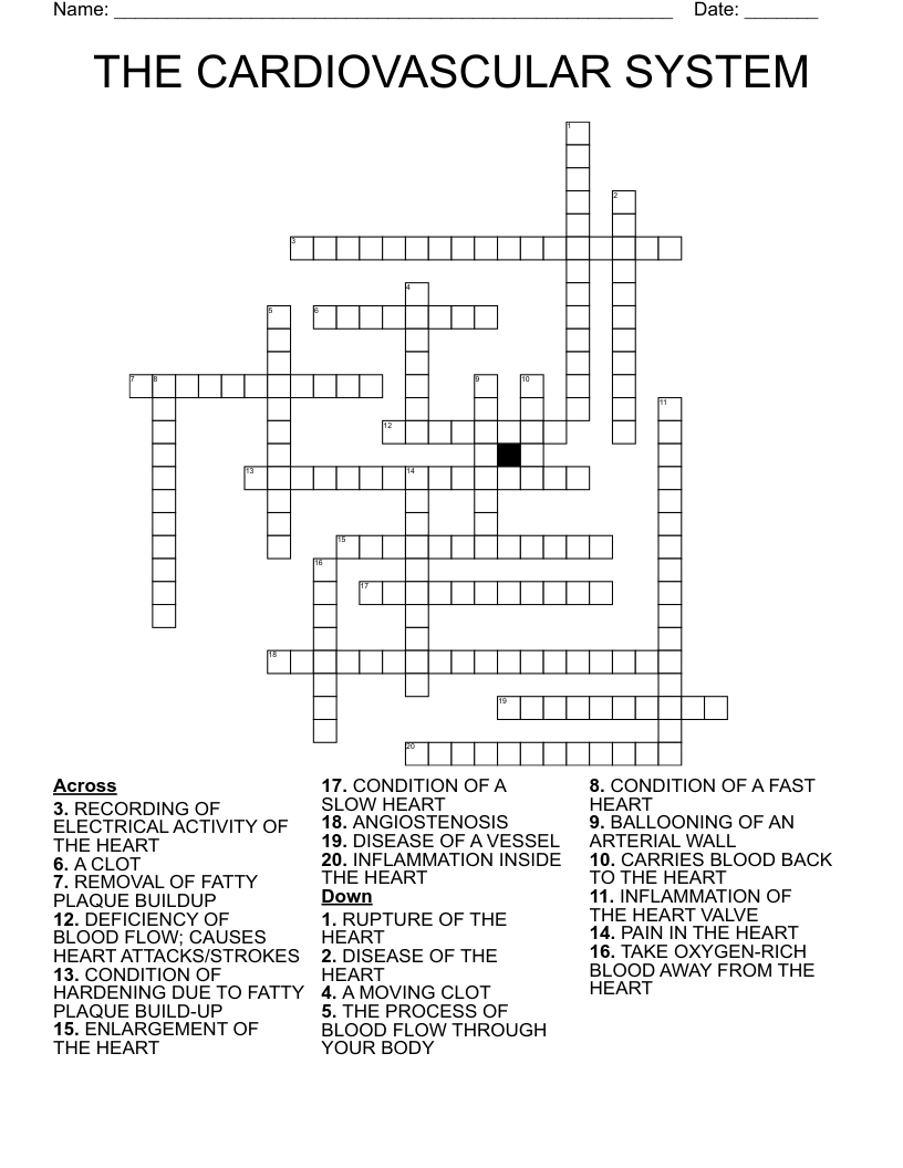 THE CARDIOVASCULAR SYSTEM Crossword