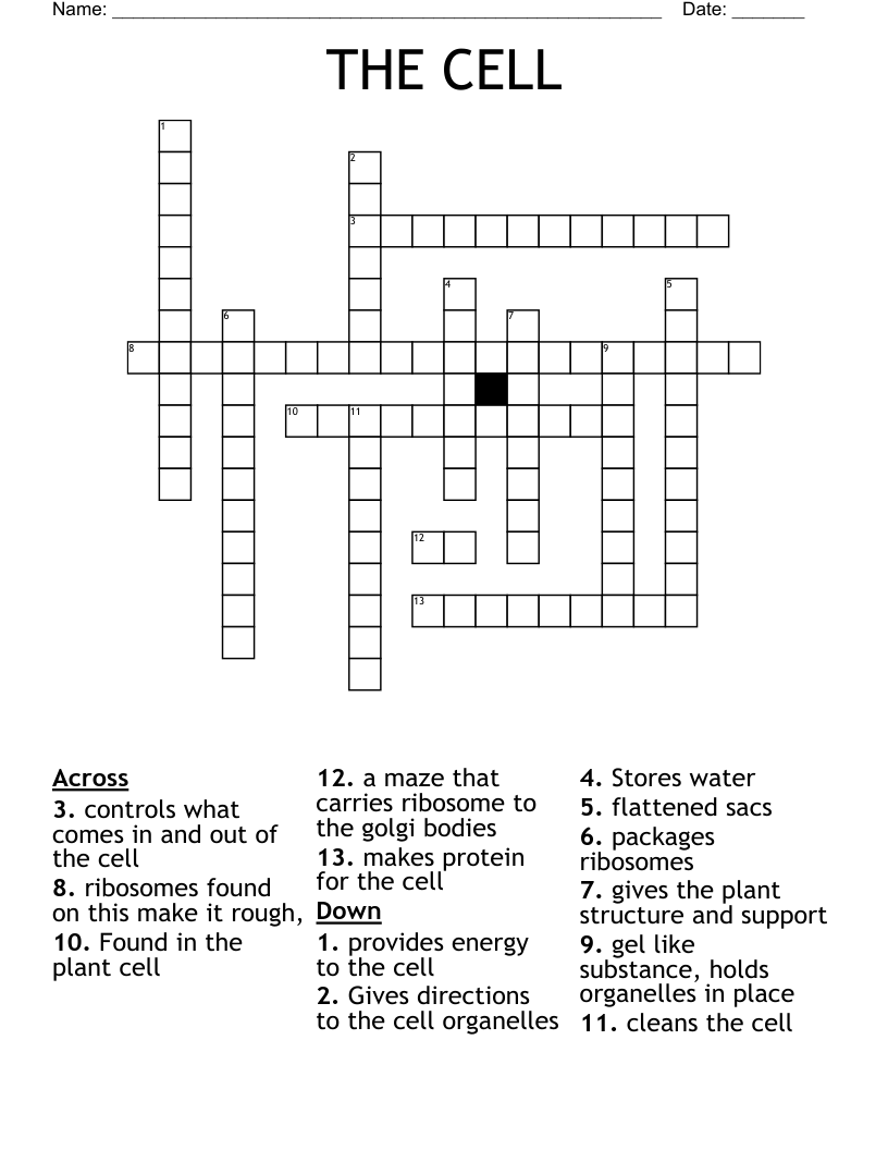 THE CELL Crossword