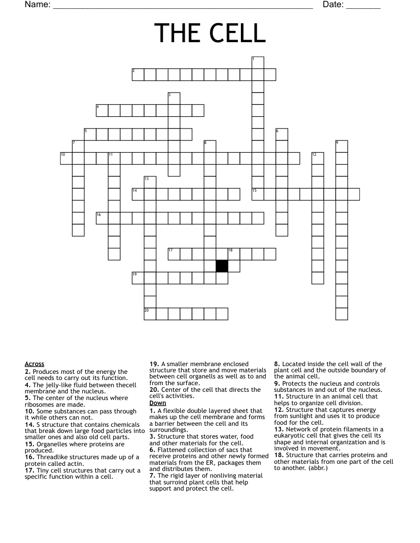 THE CELL Crossword