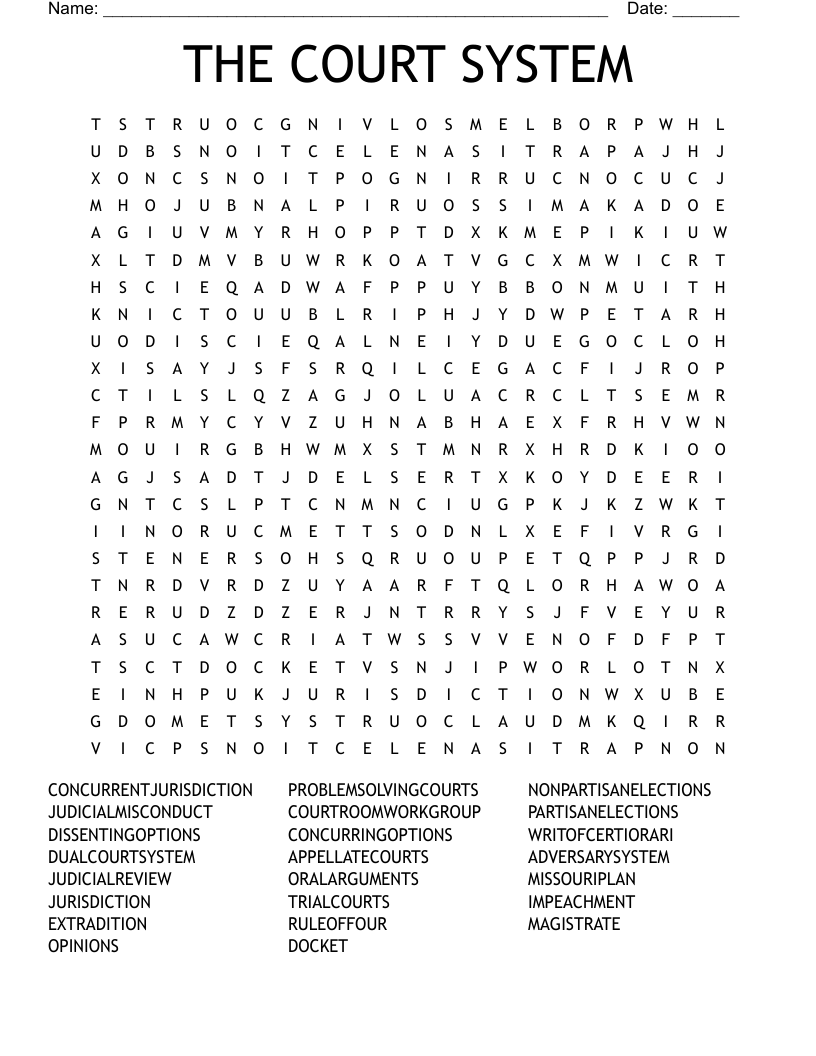 THE COURT SYSTEM Word Search