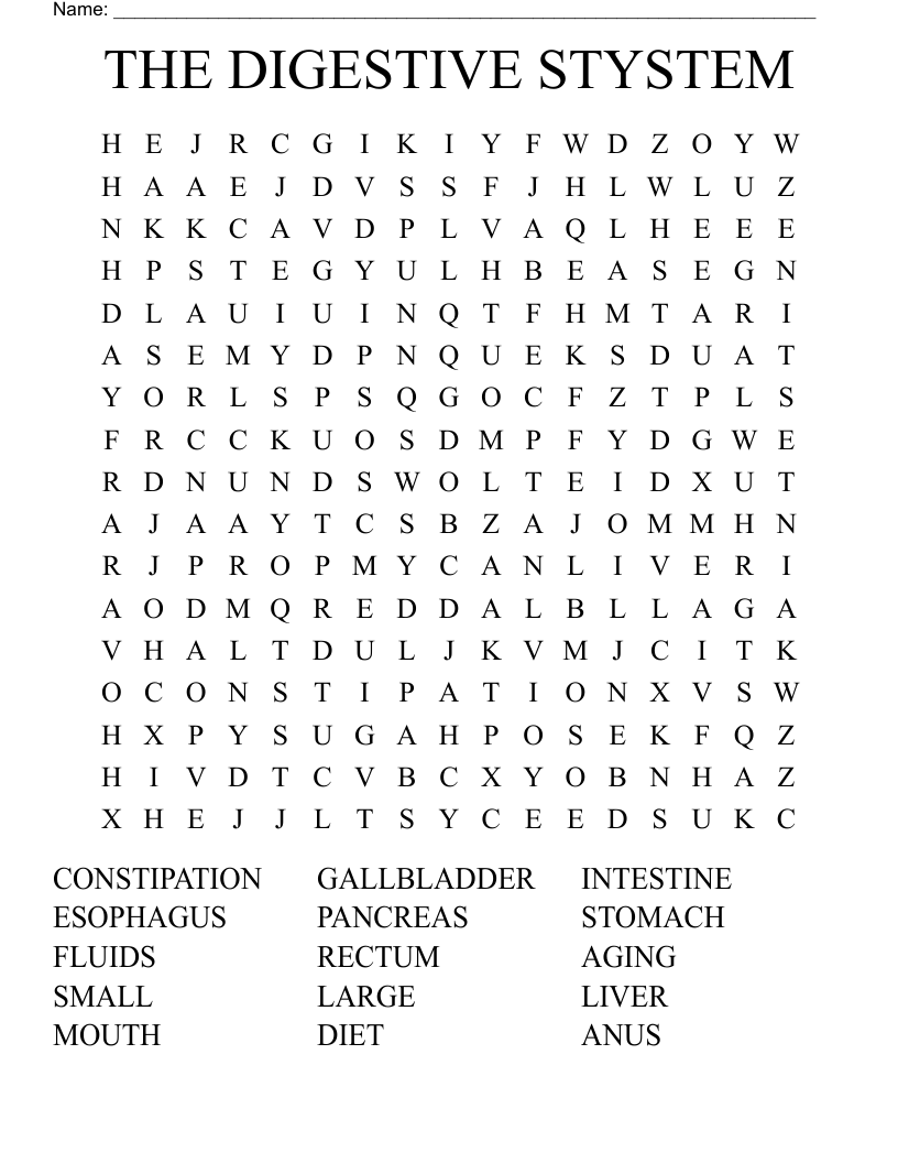 THE DIGESTIVE STYSTEM Word Search