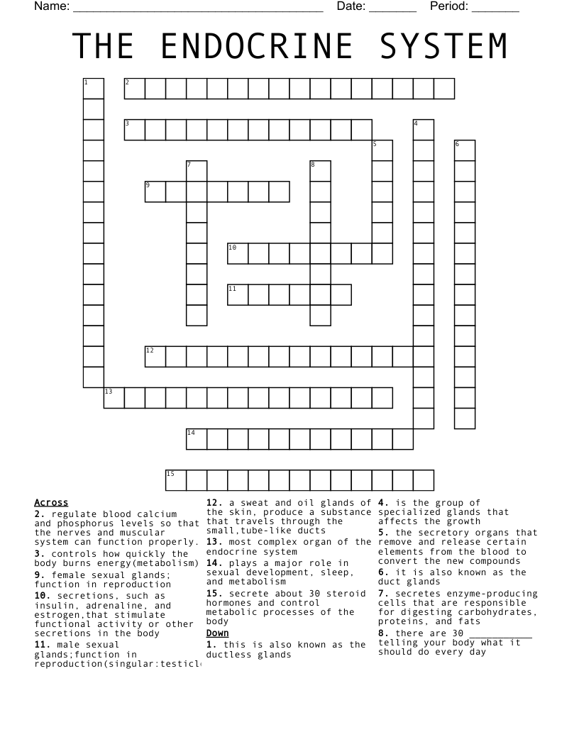 THE ENDOCRINE SYSTEM  Crossword