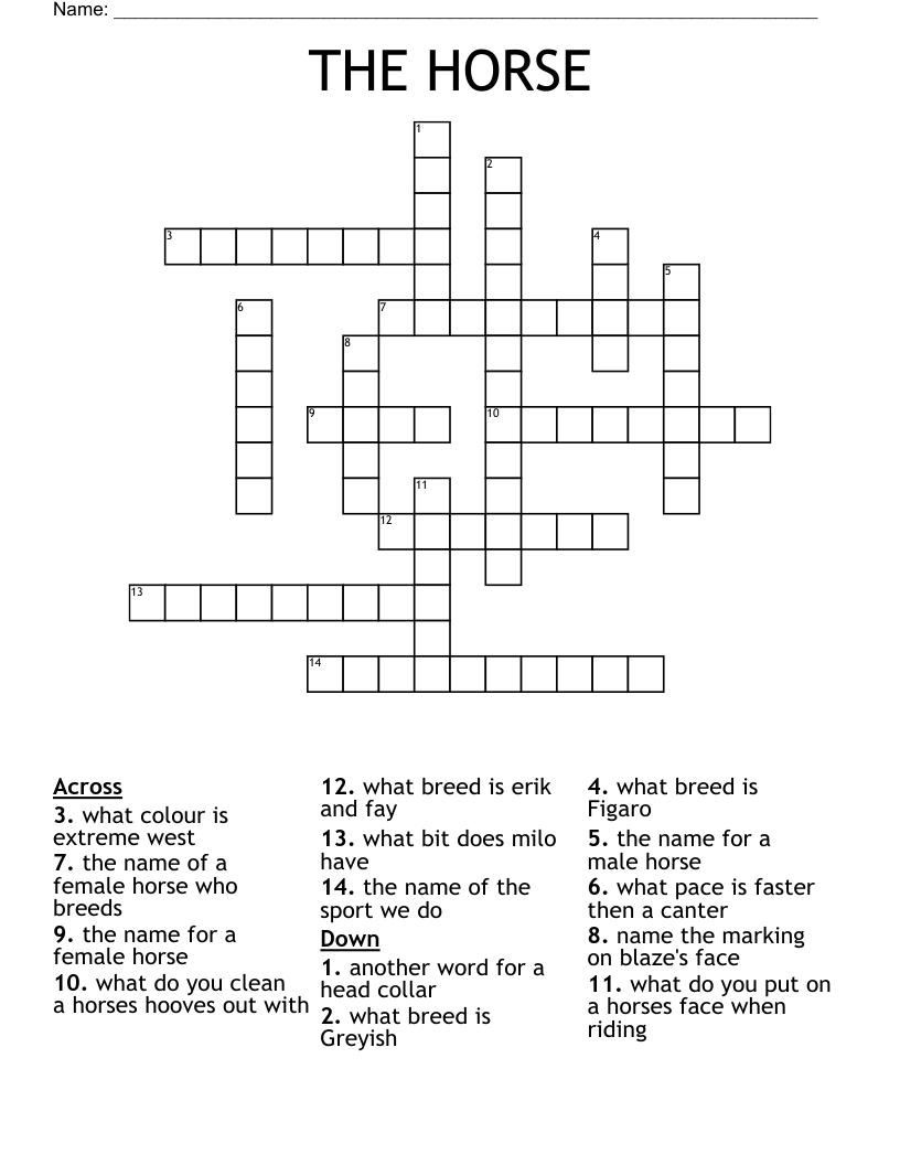 THE HORSE  Crossword