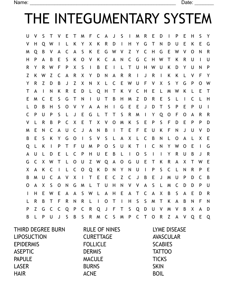 THE INTEGUMENTARY SYSTEM Word Search