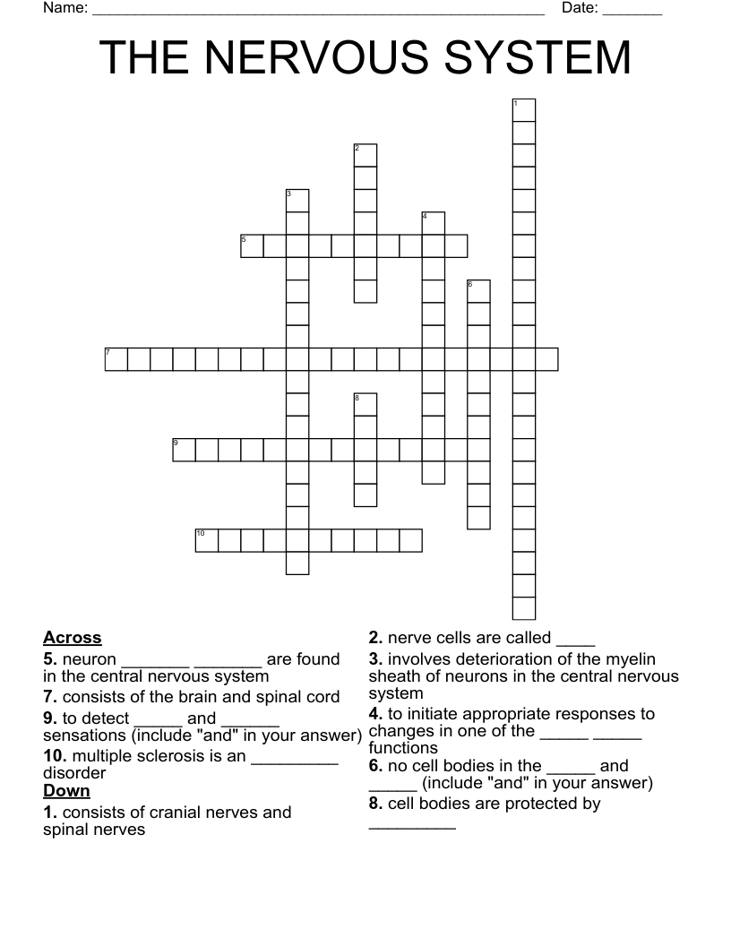 THE NERVOUS SYSTEM Crossword