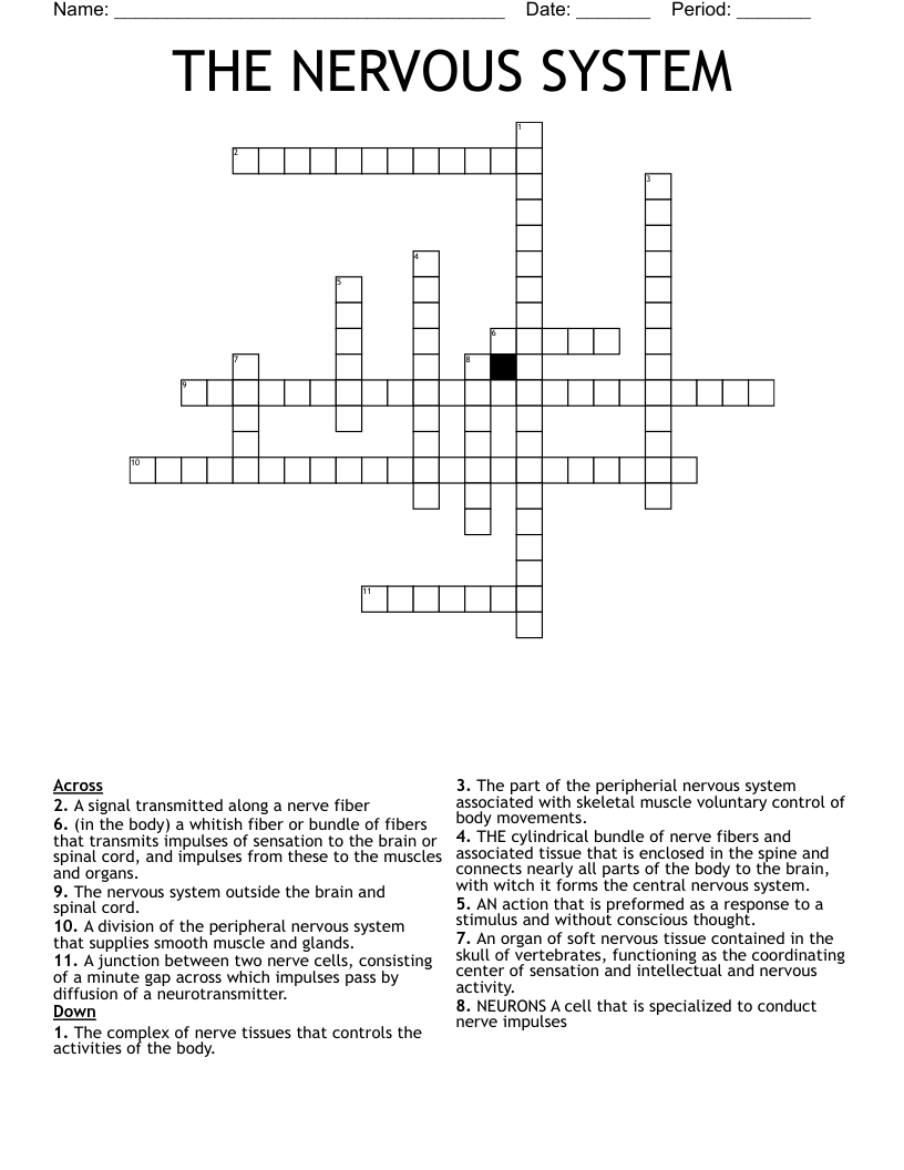 THE NERVOUS SYSTEM Crossword