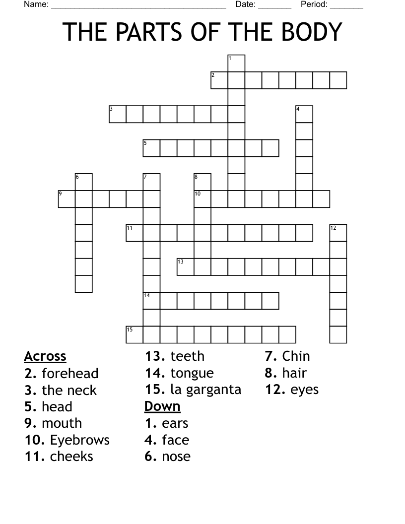 THE PARTS OF THE BODY Crossword