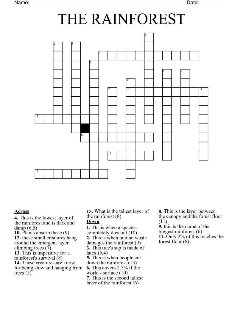 THE RAINFOREST Crossword