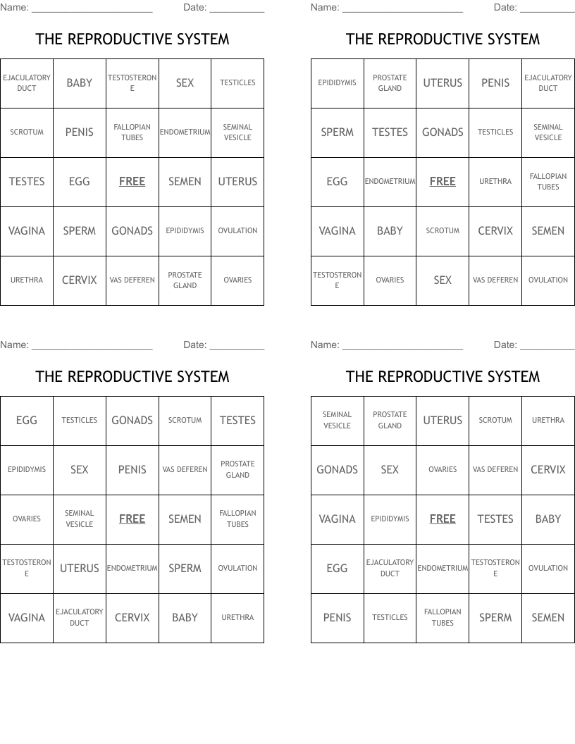 THE REPRODUCTIVE SYSTEM Bingo Cards