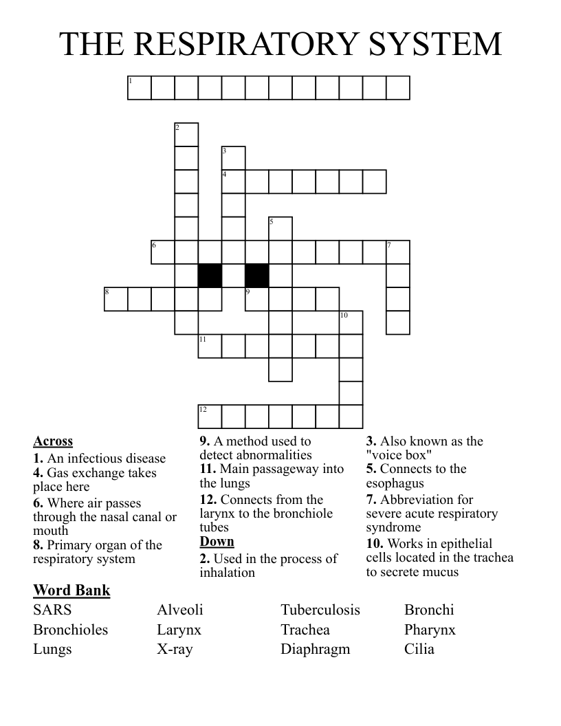 THE RESPIRATORY SYSTEM Crossword