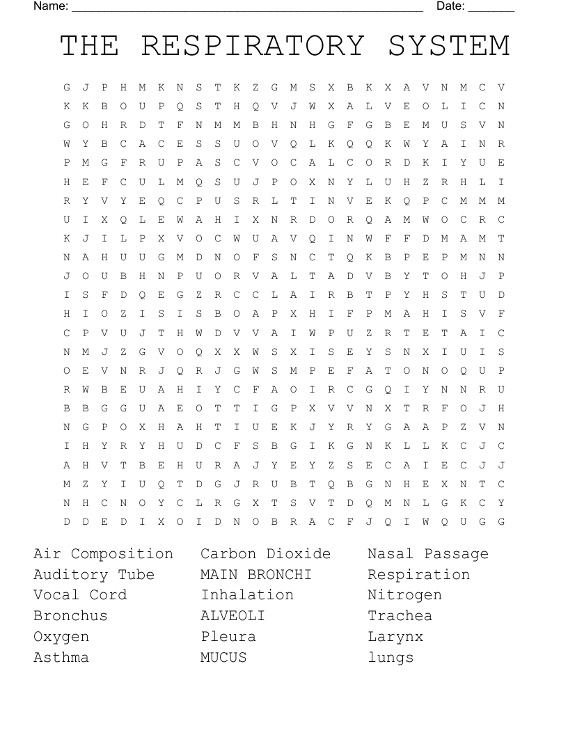 THE RESPIRATORY SYSTEM Word Search