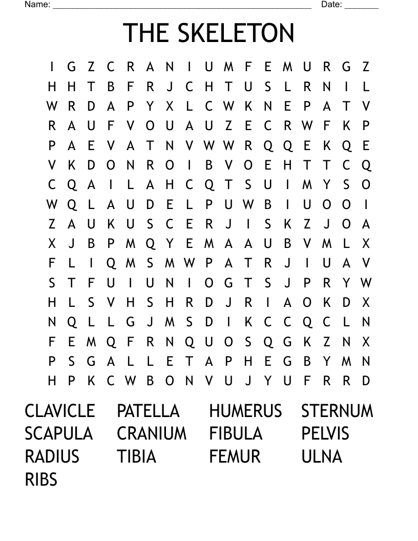 THE SKELETON Word Search