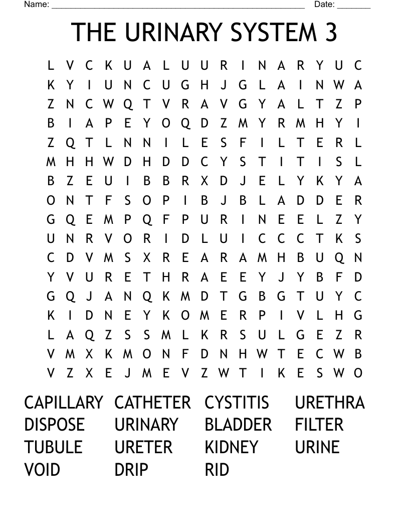 THE URINARY SYSTEM 3 Word Search