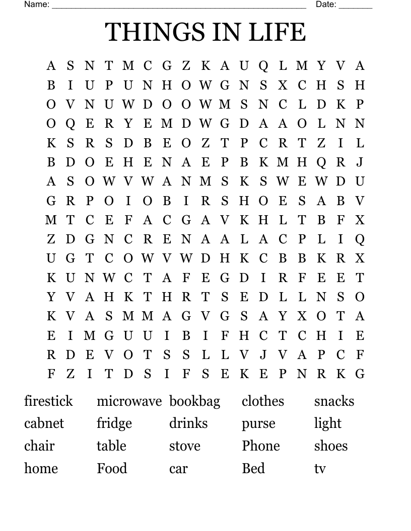 THINGS IN LIFE Word Search