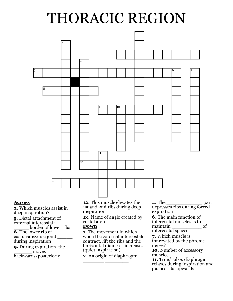 THORACIC REGION Crossword