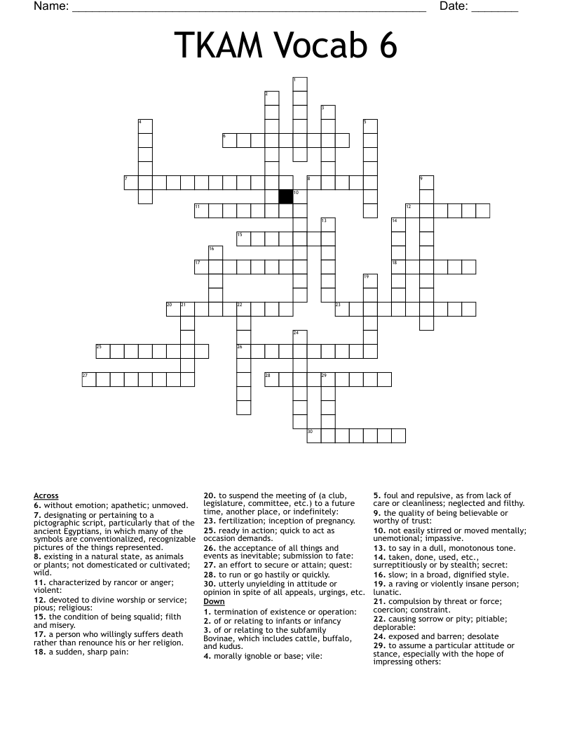 TKAM Vocab 6 Crossword