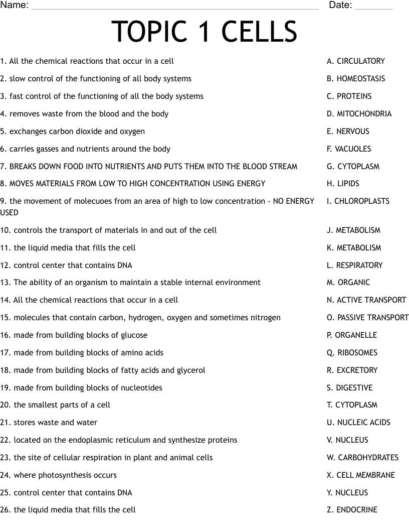 TOPIC 1 CELLS Worksheet