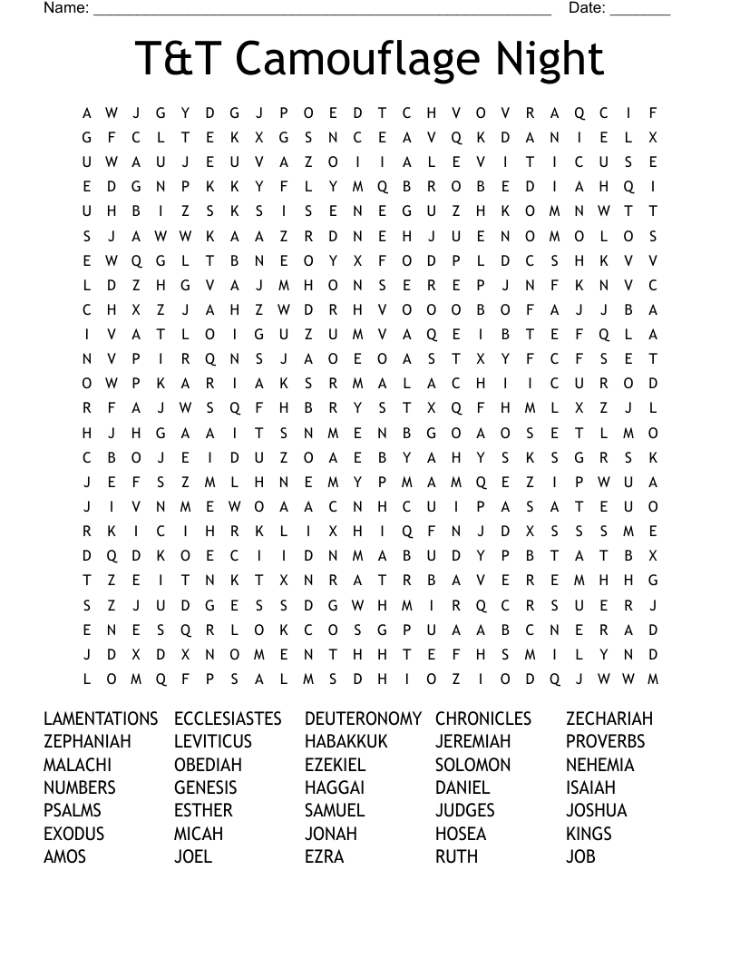 T&T Camouflage Night Word Search