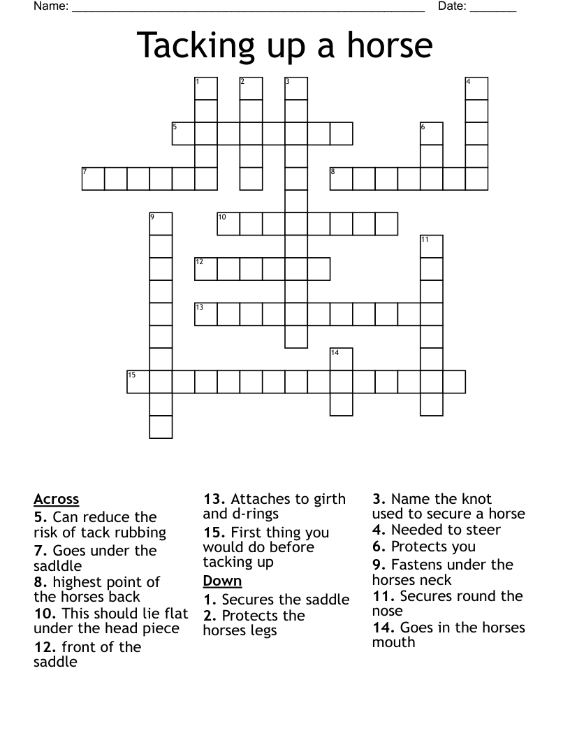 Tacking up a horse Crossword