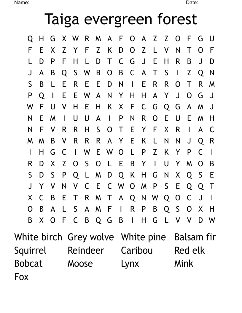 Taiga evergreen forest Word Search