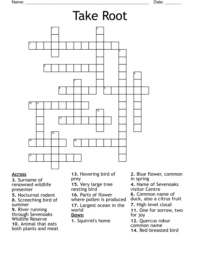 Take Root  Crossword