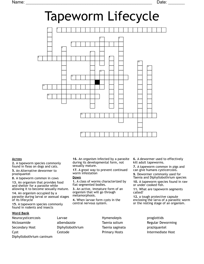 Tapeworm Lifecycle Crossword