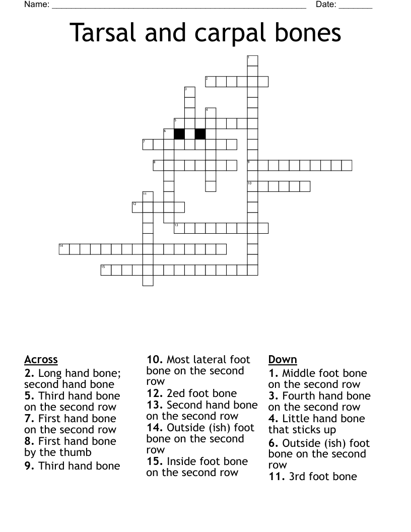 Tarsal and carpal bones Crossword