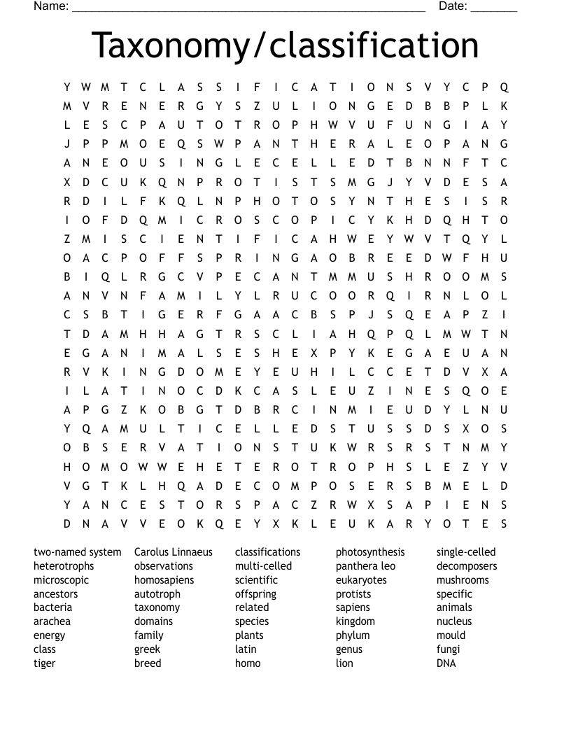 Taxonomy/classification Word Search