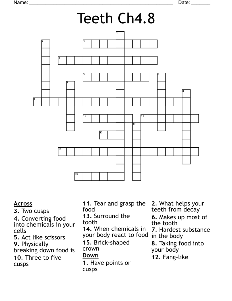 Teeth Ch4.8 Crossword