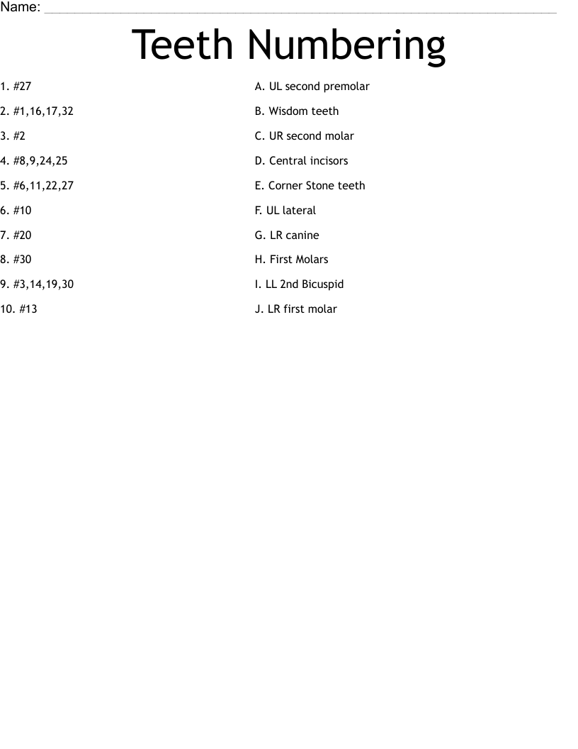 Teeth Numbering  Worksheet
