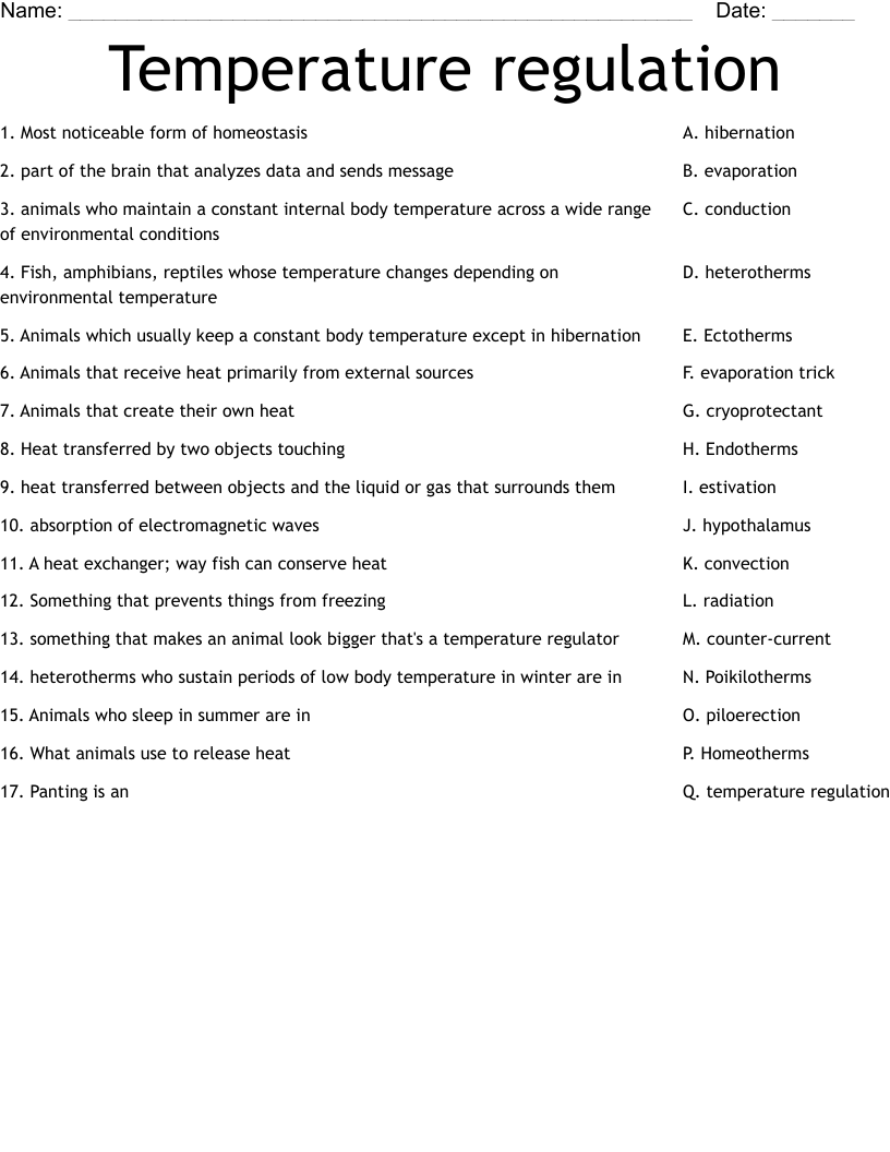 Temperature regulation Worksheet