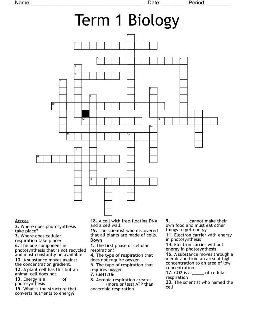 Term 1 Biology Crossword