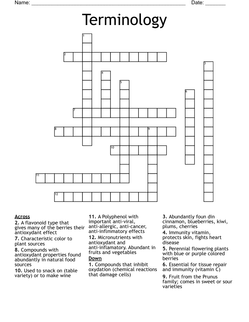 Terminology Crossword