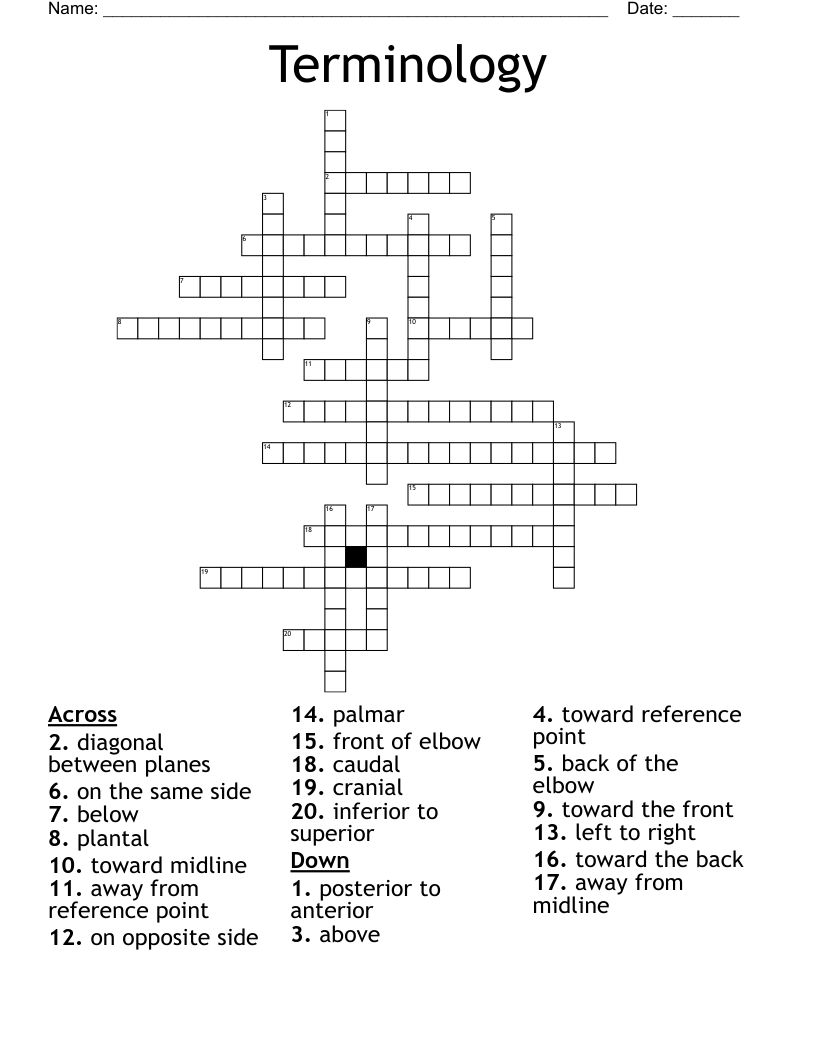 Terminology Crossword