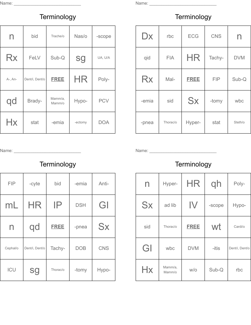 Terminology Bingo Cards