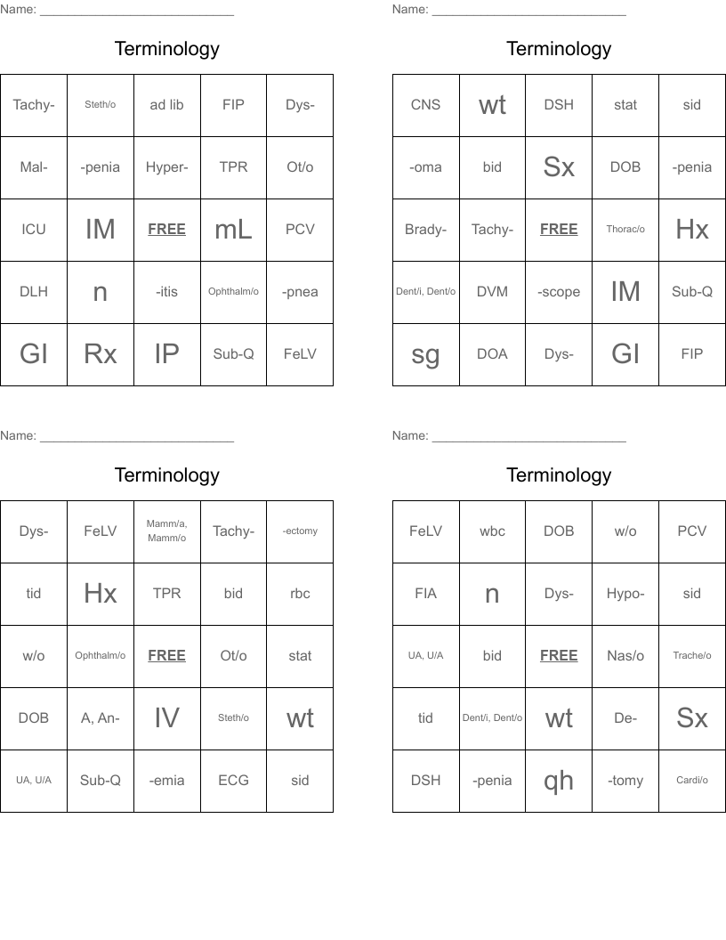 Terminology Bingo Cards