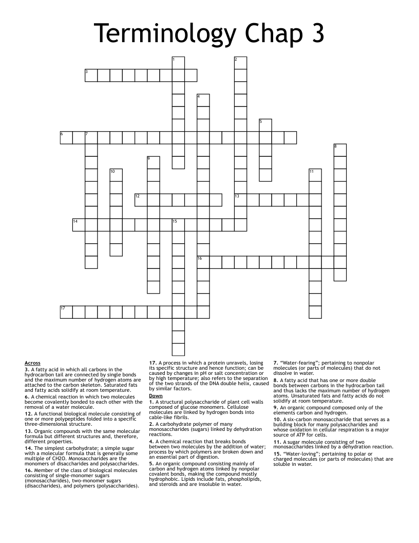Terminology Chap 3 Crossword
