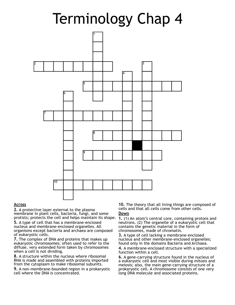 Terminology Chap 4 Crossword