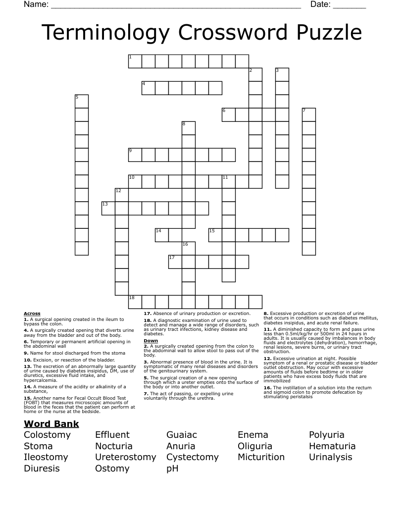 Terminology Crossword Puzzle