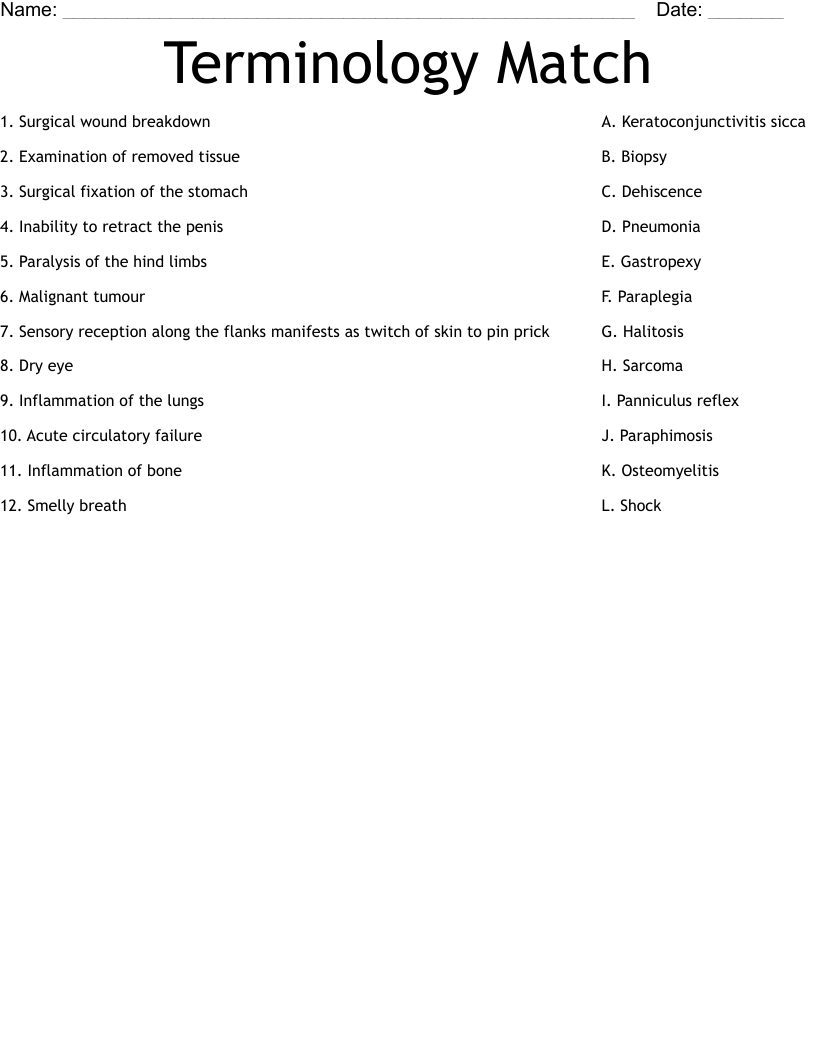 Terminology Match Worksheet