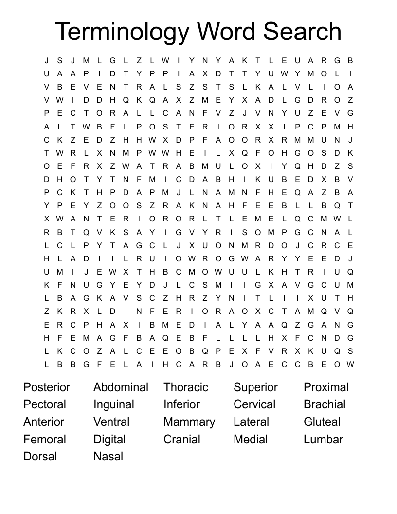 Terminology Word Search