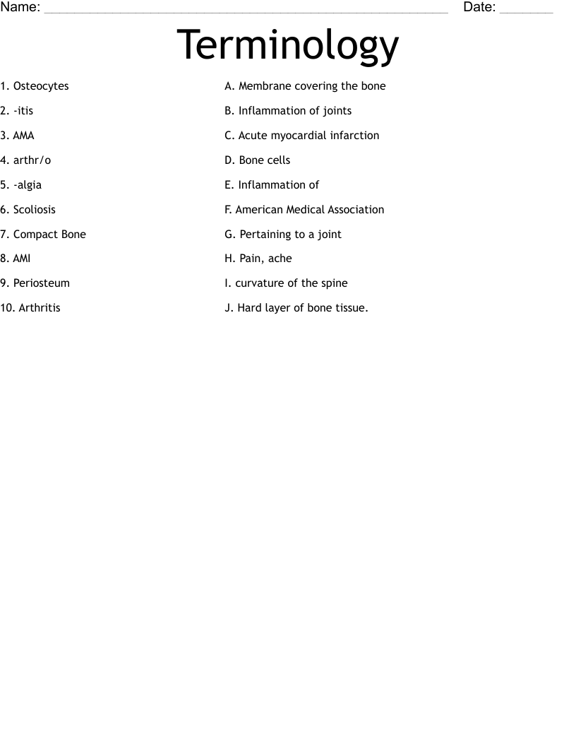 Terminology  Worksheet