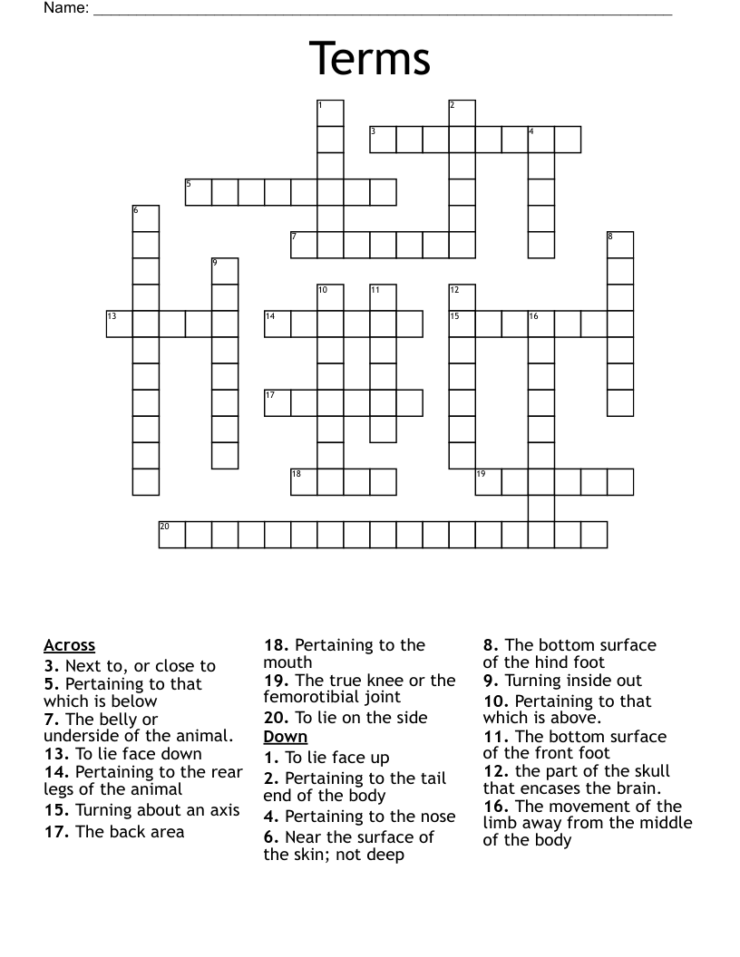 Terms Crossword