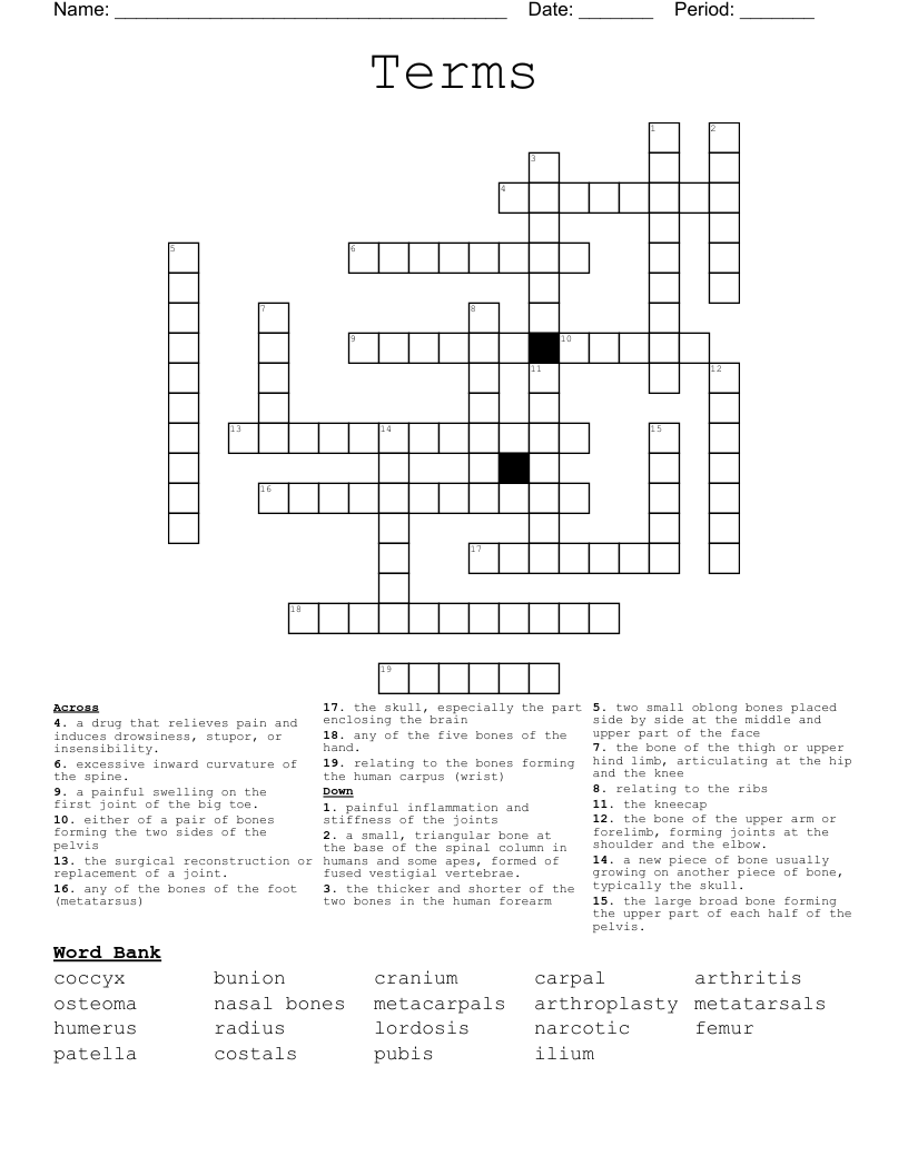 Terms Crossword