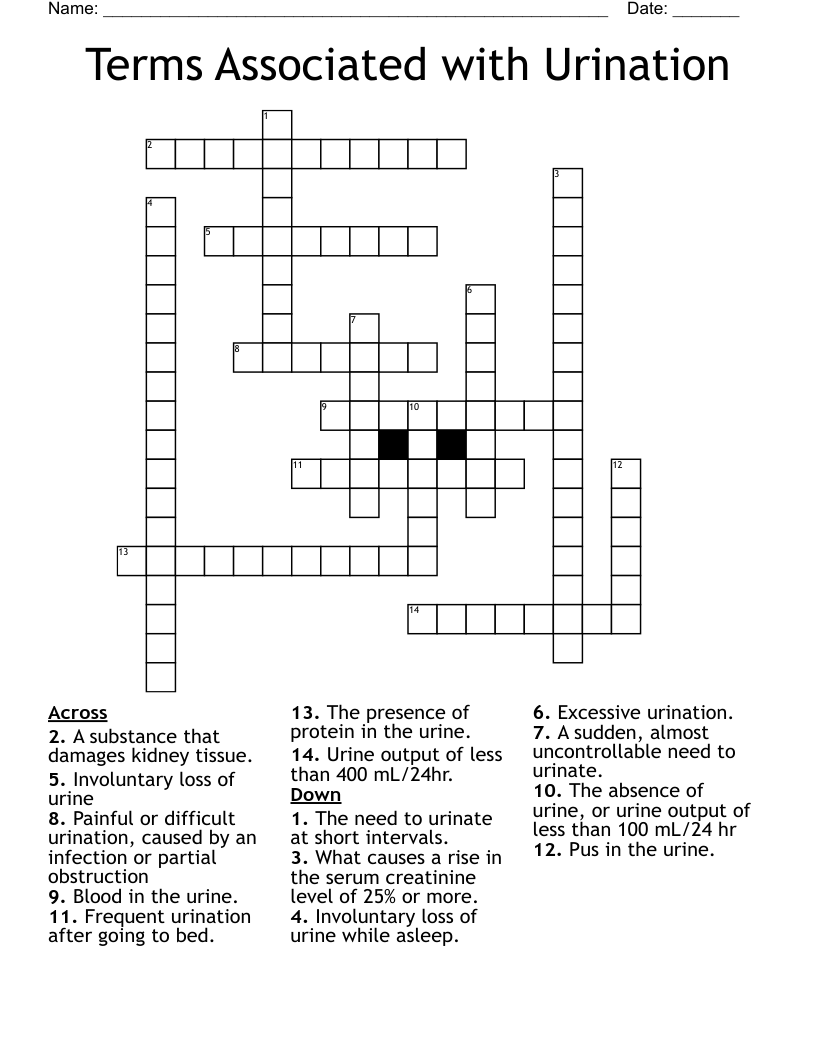 Terms Associated with Urination Crossword