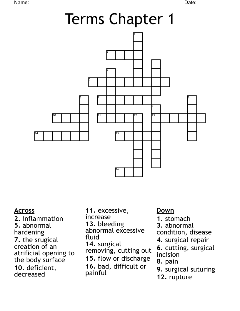 Terms Chapter 1 Crossword