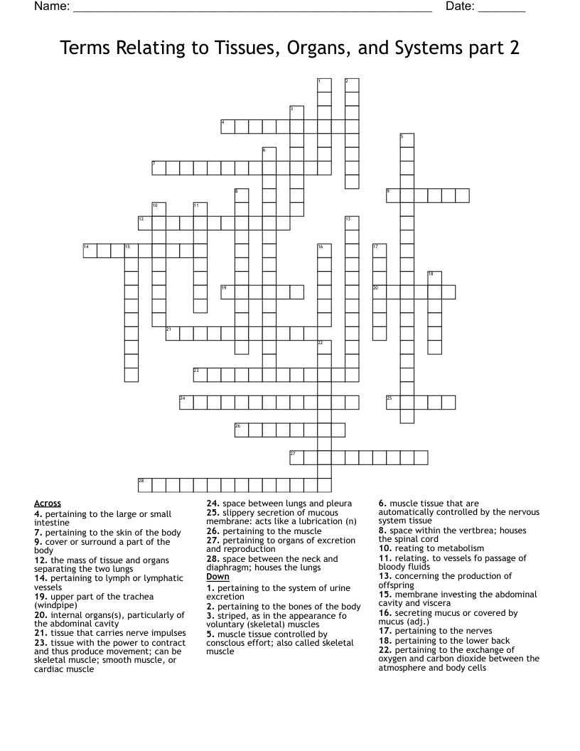 Terms Relating to Tissues, Organs, and Systems part 2 Crossword