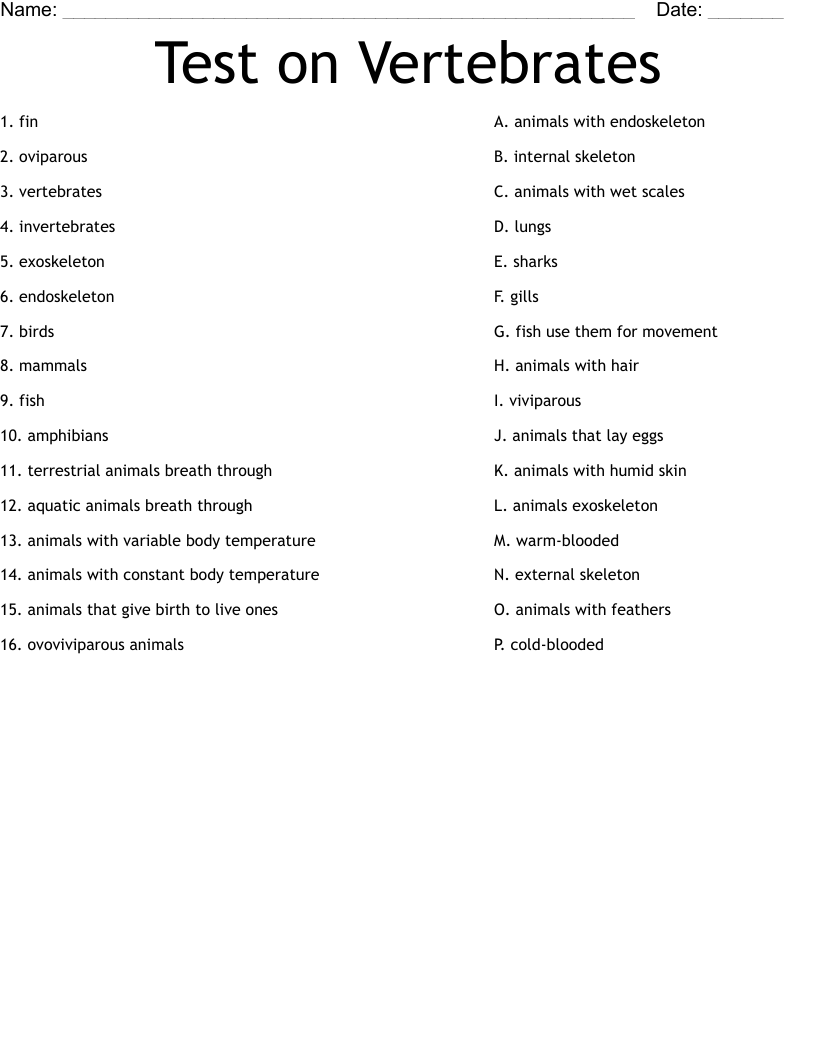 Test on Vertebrates Worksheet