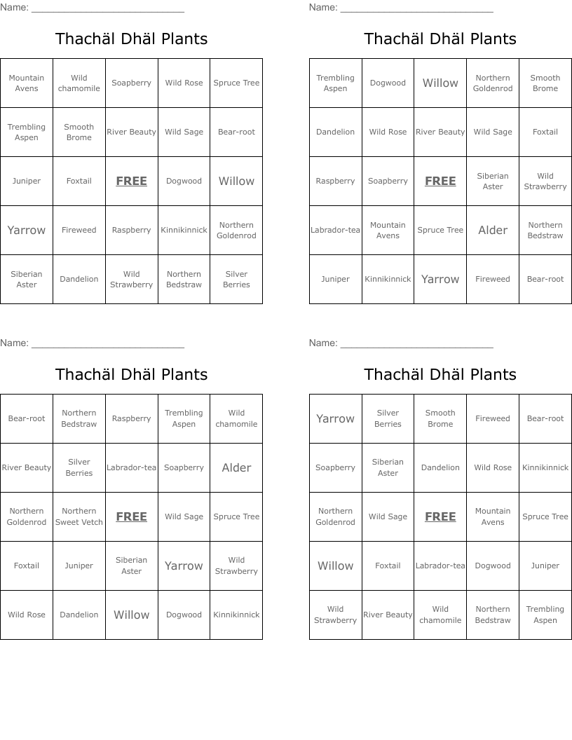 Thachäl Dhäl Plants Bingo Cards