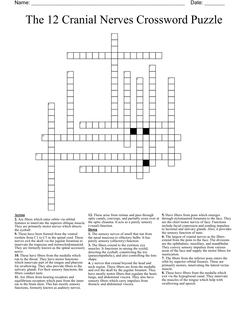 The 12 Cranial Nerves Crossword Puzzle